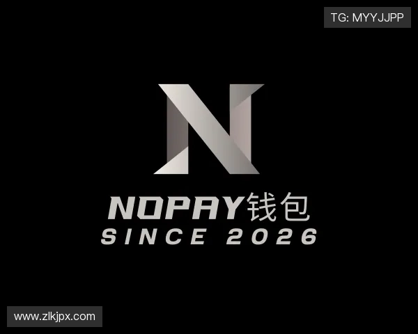 解读NOPAY钱包