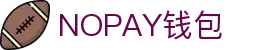 NOPAY钱包 - 数字钱包支付平台|安全便捷的移动支付